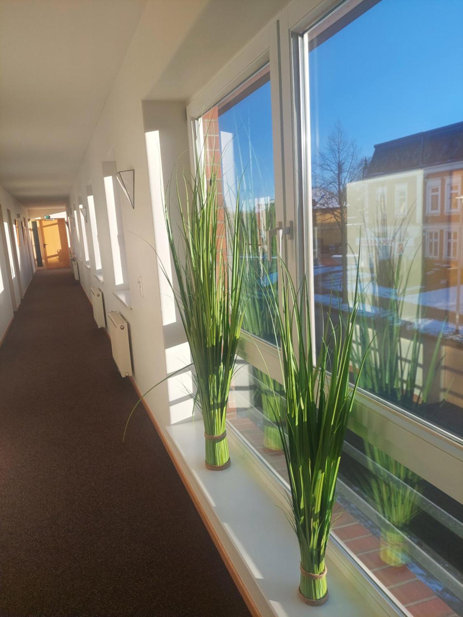 Hotel Adler & Eventlocation Gmbh 이체호에 외부 사진